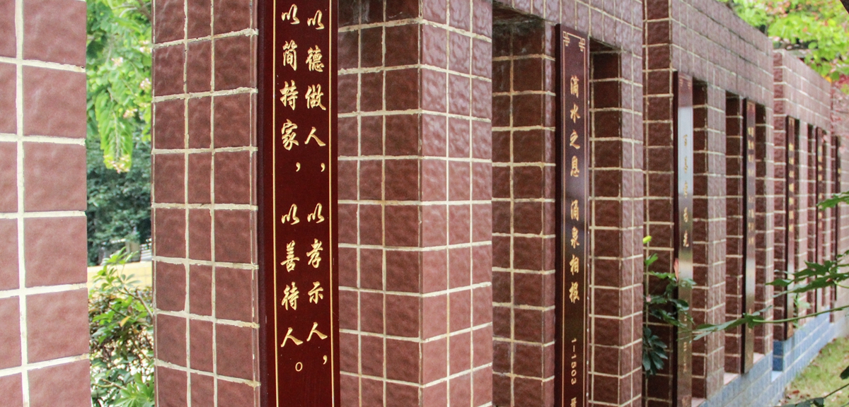 幸福感就藏在細(xì)節(jié)里&mdash;&mdash;四川綿陽韓家脊社區(qū)的美好生活探索