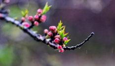 隨心而行，走走停停始終精彩。