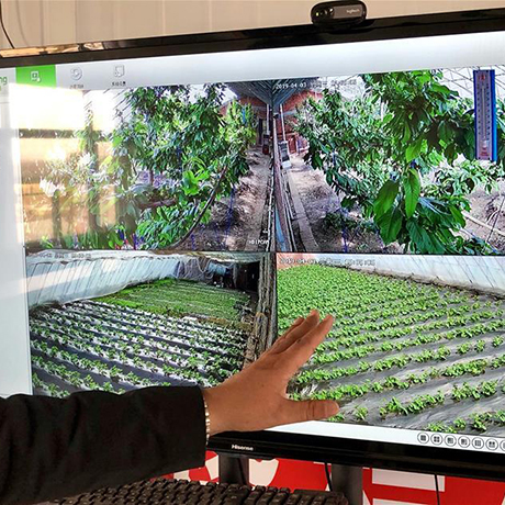 &ldquo;互聯(lián)網(wǎng)+&rdquo;讓村里人過(guò)上&ldquo;智慧生活&rdquo;