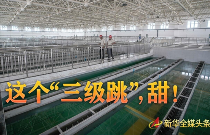 這個(gè)&ldquo;三級(jí)跳&rdquo;，甜！