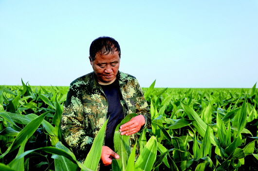 比農(nóng)民更像農(nóng)民的&ldquo;廳級(jí)村官&rdquo;