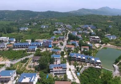 山東蒙陰：&ldquo;樹上&rdquo;的風(fēng)景