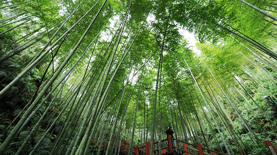 合作共治、責(zé)任共擔(dān)、效益共享&mdash;&mdash;赤水河流域跨省生態(tài)補(bǔ)償取得積極成效