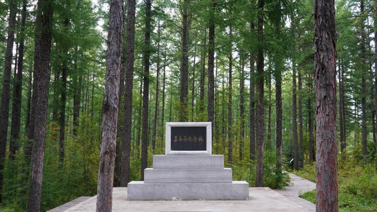 牢記使命 綠色發(fā)展&mdash;&mdash;塞罕壩精神述評