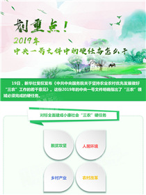 劃重點！2019年中央一號文件中的硬任務(wù)怎么干