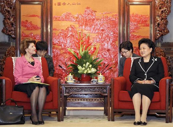 劉延?xùn)|會見歐盟委員會教育、文化、語言多樣性及青年事務(wù)委員瓦西利烏