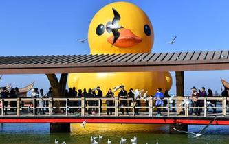 &ldquo;大黃鴨&rdquo;亮相昆明滇池