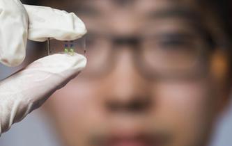 &ldquo;量子透鏡&rdquo;有望助力量子信息傳輸