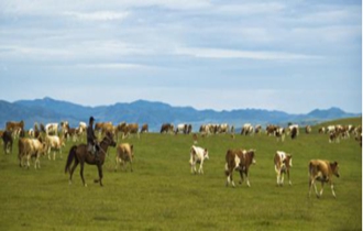 華能北方公司：奔小康，咱肯定能