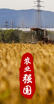 農(nóng)業(yè)強國是社會主義現(xiàn)代化強國的根基。