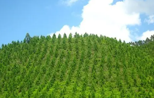 固態(tài)鋰電池疲勞失效機制被揭示