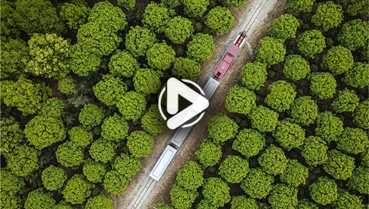 第十一集：你好！地球衛(wèi)士