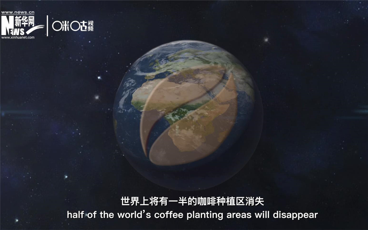 科學(xué)家預(yù)測(cè)到三十年后，世界上將有一半的咖啡種植區(qū)消失