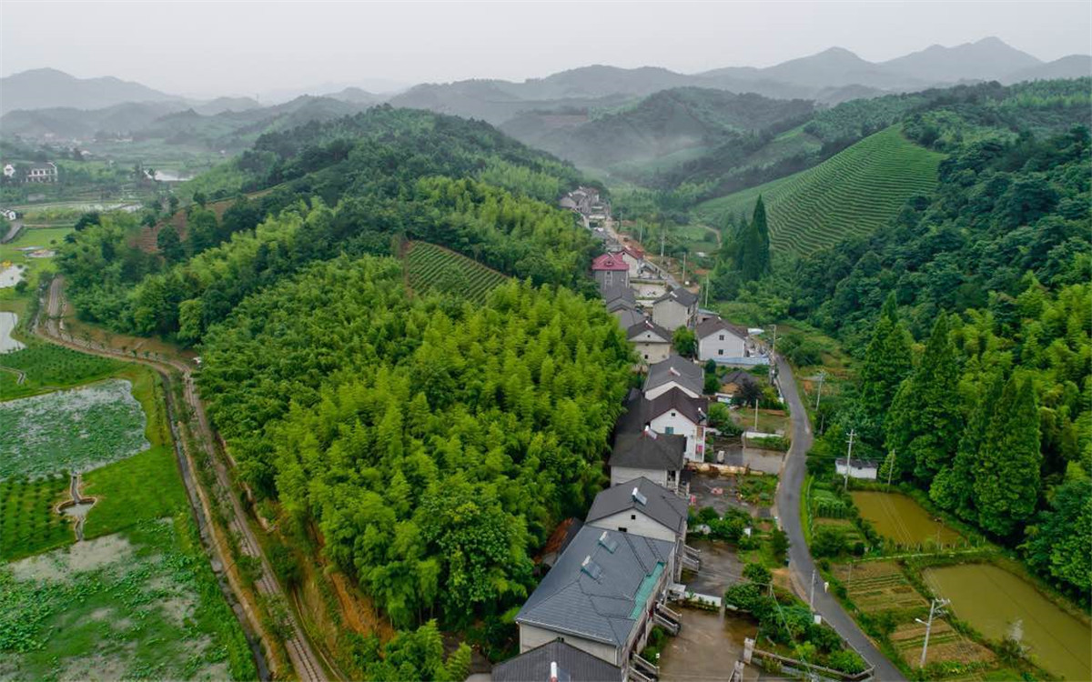 從2003年起，浙江省開展了&ldquo;千村示范、萬村整治&rdquo;工程