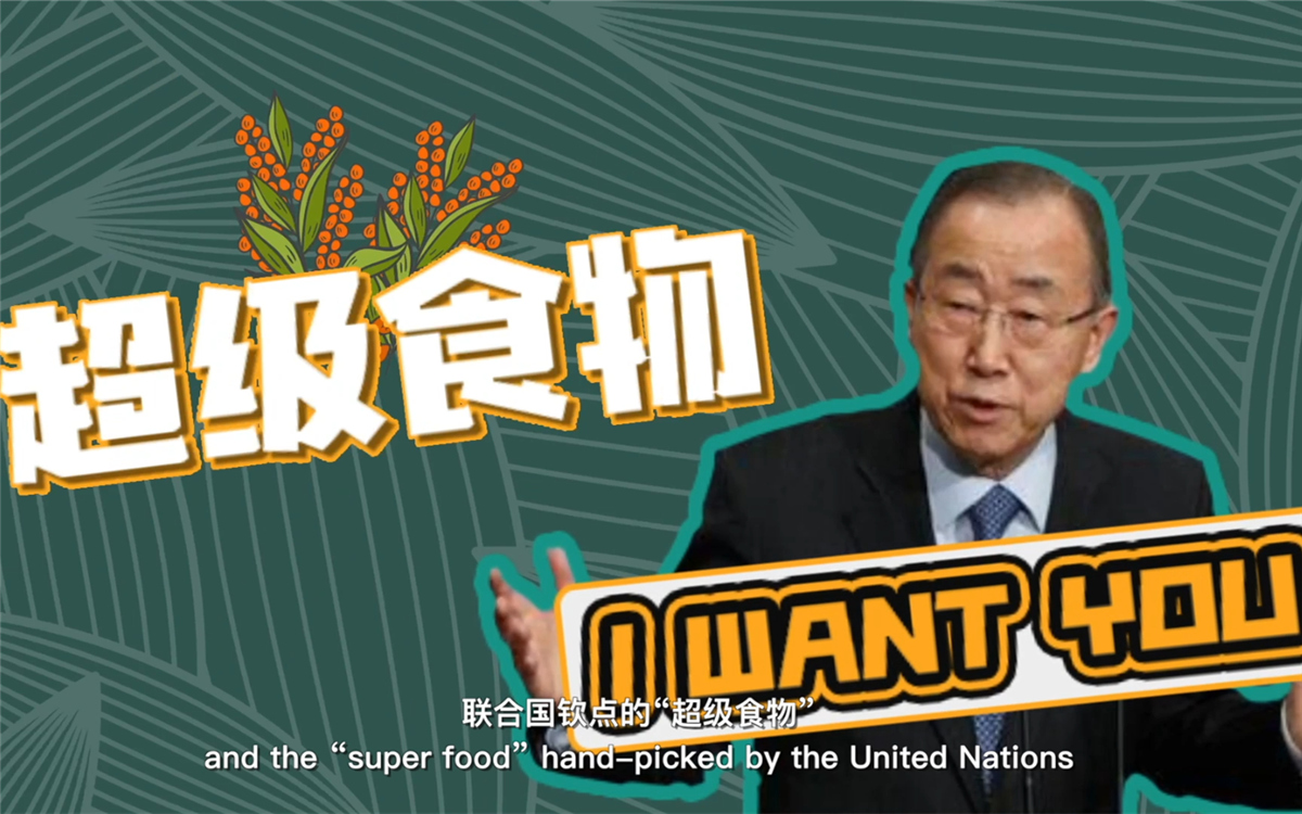 聯(lián)合國將藜麥視為抗擊饑餓的&ldquo;超級食物&rdquo;，大力推廣