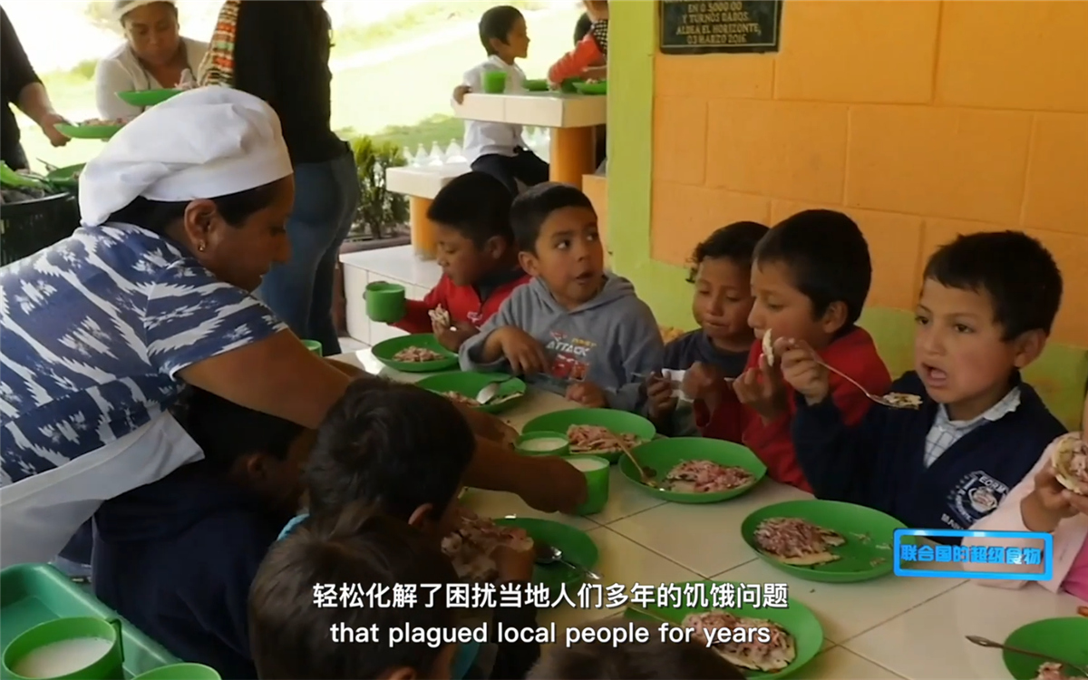 藜麥的蹤跡遍布北美、歐洲、亞洲和非洲多地