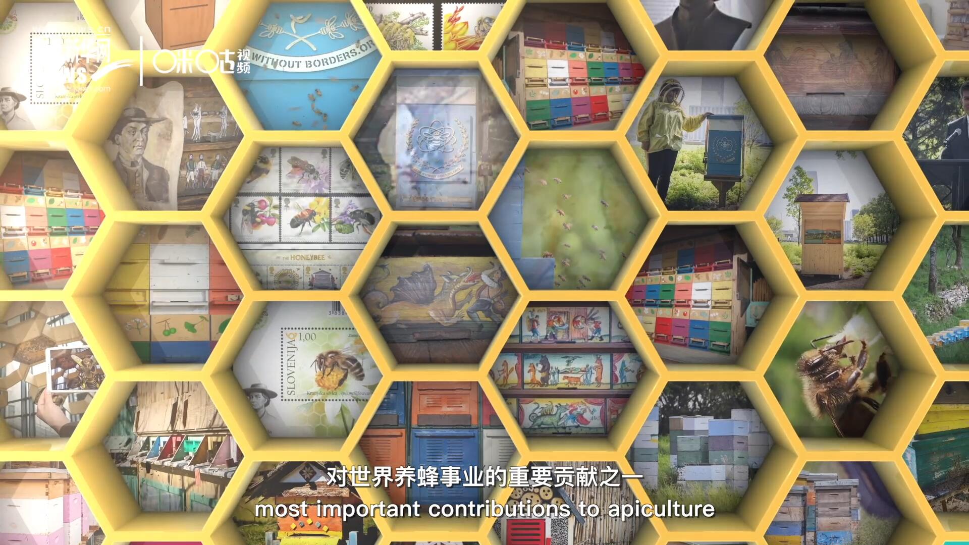 他開始用色彩豐富的畫作來裝飾蜂巢的前板，幫助不同蜂群按照習性和顏色順利找到自己的蜂巢