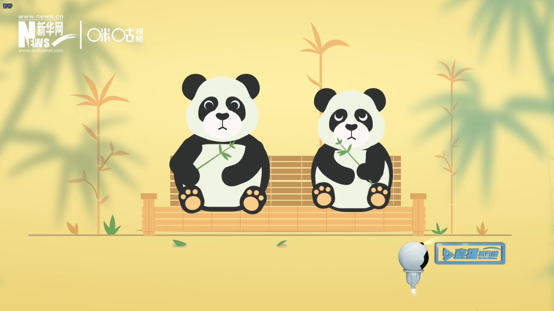 &ldquo;哥哥你看，又有人來看我們了。&rdquo;&ldquo;有什么奇怪的，我們可是聯(lián)合國(guó)&lsquo;最萌&rsquo;的大使??！&rdquo;。