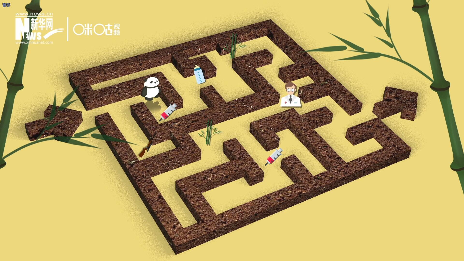 2016年，國(guó)際自然保護(hù)聯(lián)盟將大熊貓的物種瀕危等級(jí)，從&ldquo;瀕危&rdquo;下降到了&ldquo;易危&rdquo;。