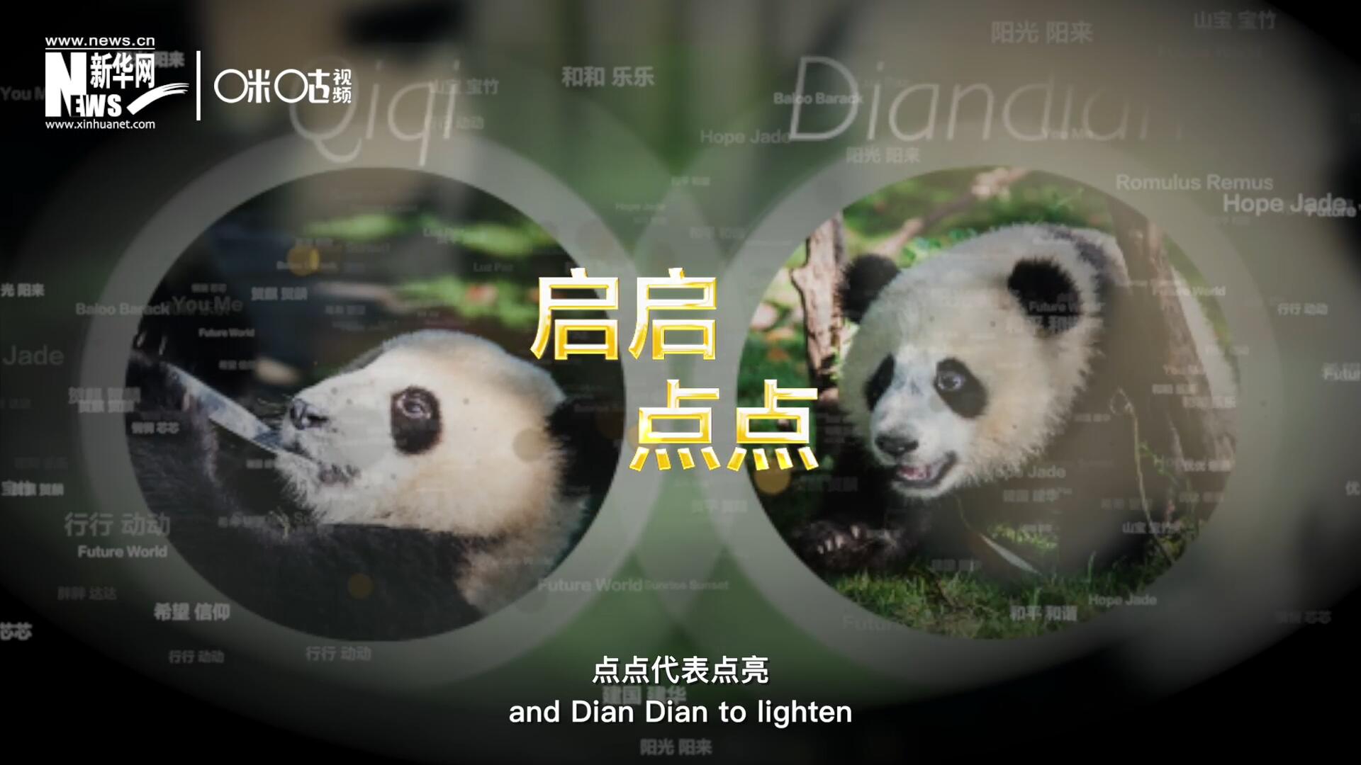 啟啟代表&ldquo;啟發(fā)&rdquo;，點(diǎn)點(diǎn)代表&ldquo;點(diǎn)亮&rdquo;，象征著2030年可持續(xù)發(fā)展議程 的&ldquo;起點(diǎn)&rdquo;，也象征著全球可持續(xù)發(fā)展路徑的新起點(diǎn)。