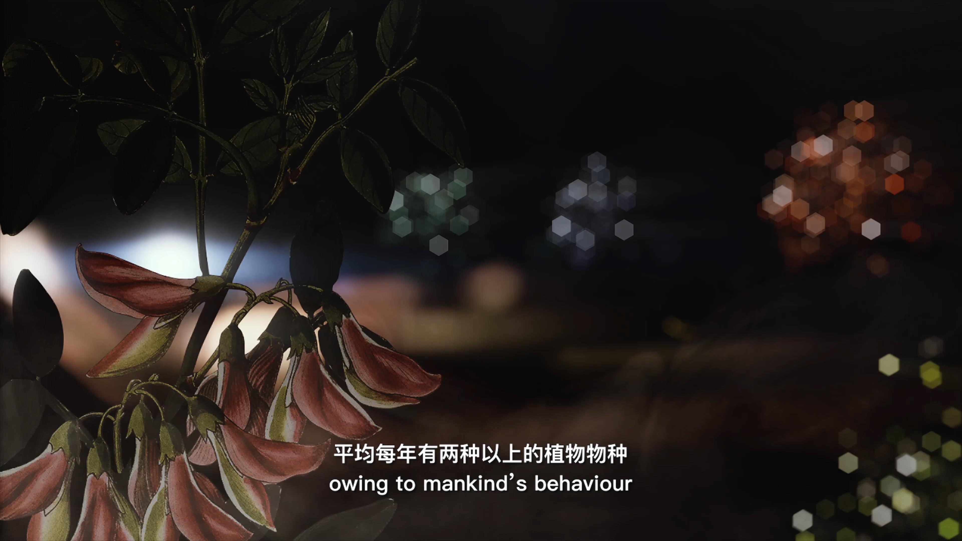 自18世紀(jì)中葉以來，許多植物物種因?yàn)槿祟惖脑蚨鴱牡厍蛏舷? />      
<div   id=