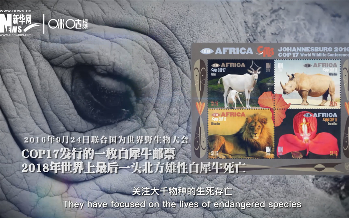 聯合國發(fā)行的關注物種生存死亡的郵票