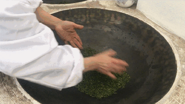 申遺，把雨花茶手藝傳承下去