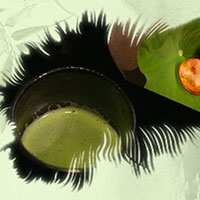 熱茶與伏天的關(guān)系，只有清涼