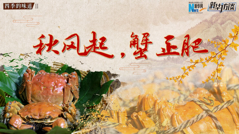 秋風(fēng)起，蟹正肥