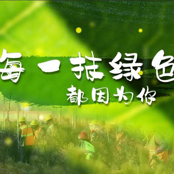 千年秀林，每一抹綠色都因?yàn)槟? /></a>       
<div   id=