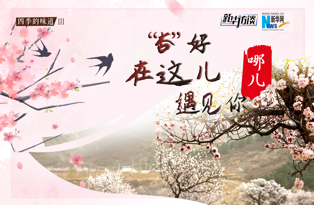 哪兒？&ldquo;杏&rdquo;好在這兒遇見你！