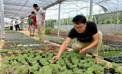 返鄉(xiāng)人員大部分從事的都是新產業(yè)