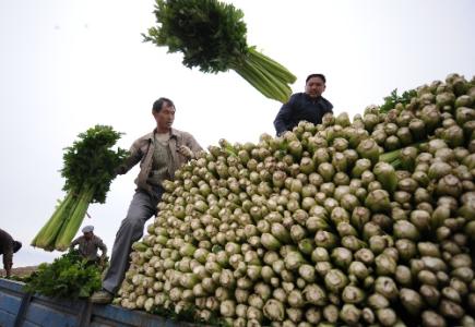 劉永富：發(fā)展產業(yè)脫貧仍是精準扶貧、精準脫貧主攻方向