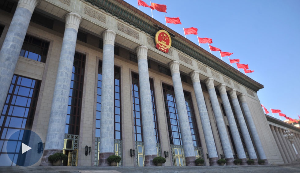 十三屆全國(guó)人大一次會(huì)議第二場(chǎng)&ldquo;代表通道&rdquo;