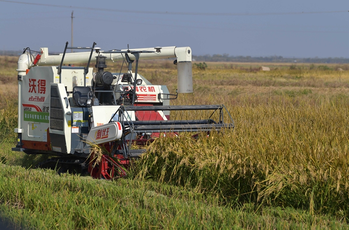 新華社評論員:穩(wěn)固耕地基本盤，打好種業(yè)翻身仗