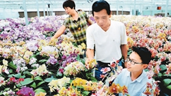 臺商眼中的改革開放：風景這邊獨好 要去，要去，要去！