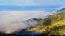 臺胞臺商熱議陜西惠臺&ldquo;60條&rdquo;：期盼落實、共享機遇