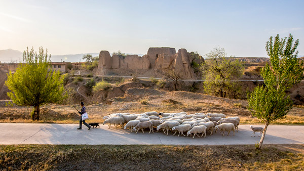 追夢足跡｜上馬圈：鐵馬冰河，黃土斑駁