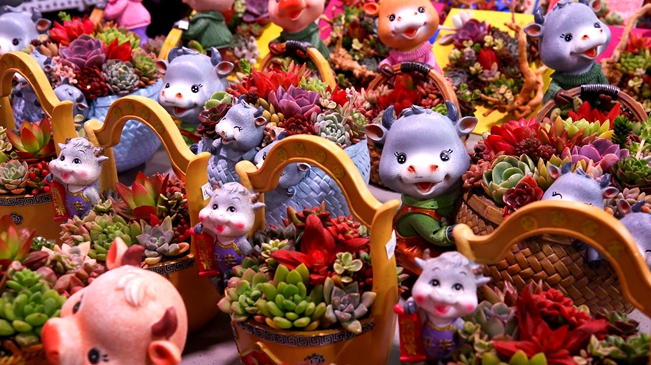 就地過年 你準(zhǔn)備好了嗎？