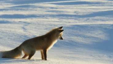 寒潮再襲 網(wǎng)友靈魂拷問：這么冷為何還不下雪？