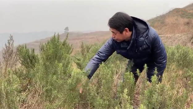 新春走基層｜脫貧后，駐村扶貧隊長在干啥？