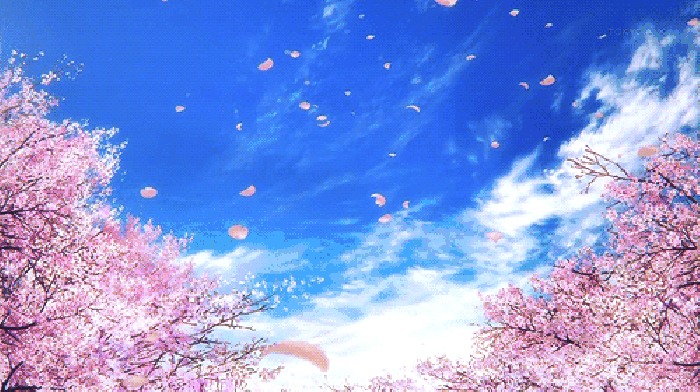 寧波這個地方早櫻花開成海，滿足你對春天的所有想象