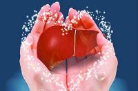 【健康解碼】轉(zhuǎn)氨酶正常肝臟就一定正常嗎？