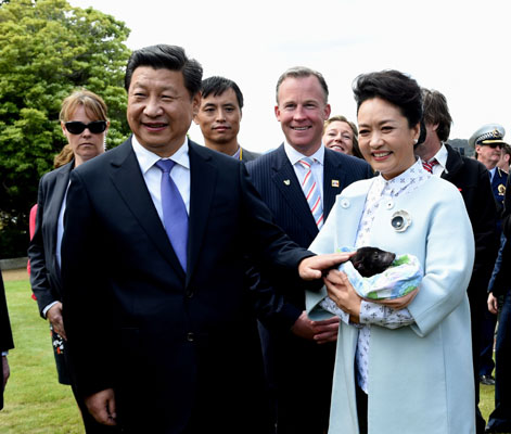 11月18日，國家主席習(xí)近平在澳大利亞塔斯馬尼亞州與朗塞斯頓市斯科奇－歐克伯恩小學(xué)的小學(xué)生共同植樹。這是習(xí)近平和夫人彭麗媛植樹后撫摸袋獾。新華社記者 饒愛民 攝