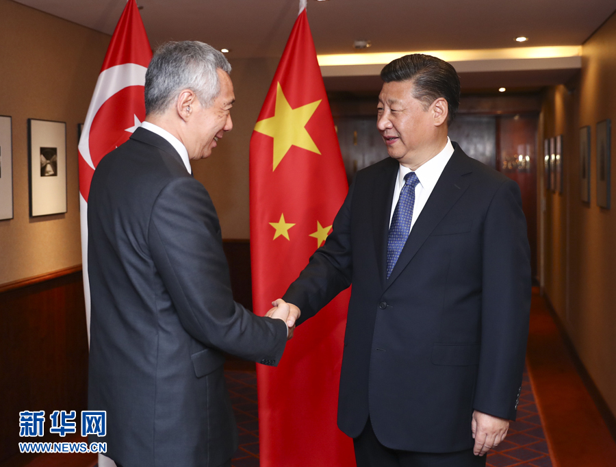 7月6日，國(guó)家主席習(xí)近平在漢堡會(huì)見(jiàn)新加坡總理李顯龍。 新華社記者謝環(huán)馳 攝