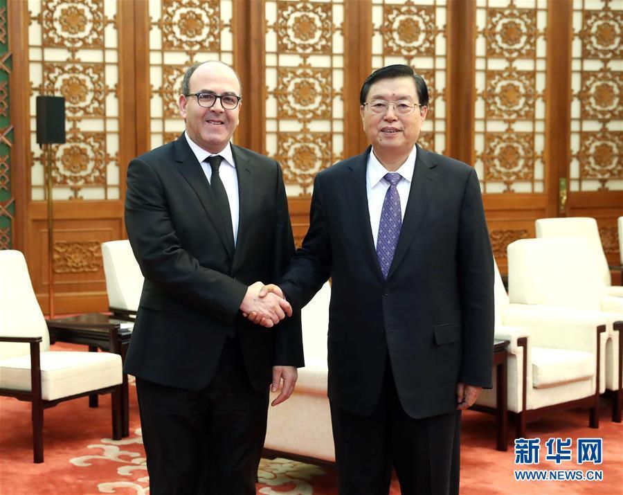 12月20日，全國(guó)人大常委會(huì)委員長(zhǎng)張德江在北京人民大會(huì)堂會(huì)見(jiàn)摩洛哥參議長(zhǎng)本希馬。新華社記者劉衛(wèi)兵攝