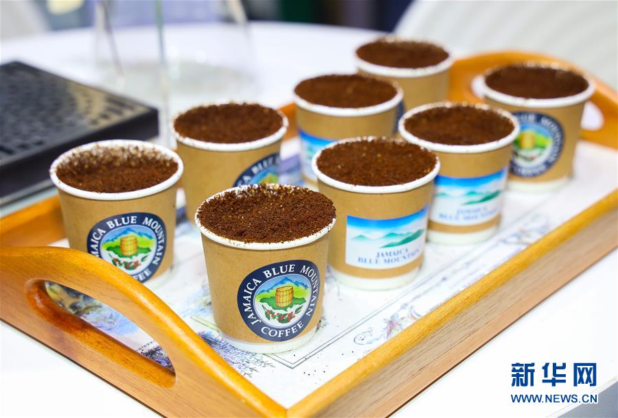 （新華全媒頭條&middot;圖文互動）（15）人間正道 浩蕩前行&mdash;&mdash;習近平主席出席首屆中國國際進口博覽會紀實