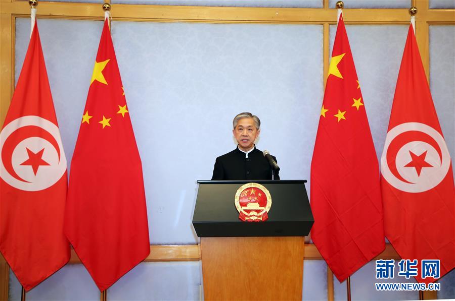 （XHDW&middot;圖文互動(dòng)）（2）五湖迎亥歲　四海賀新春&mdash;&mdash;我駐外使領(lǐng)館舉辦新春招待會(huì)喜迎農(nóng)歷新年