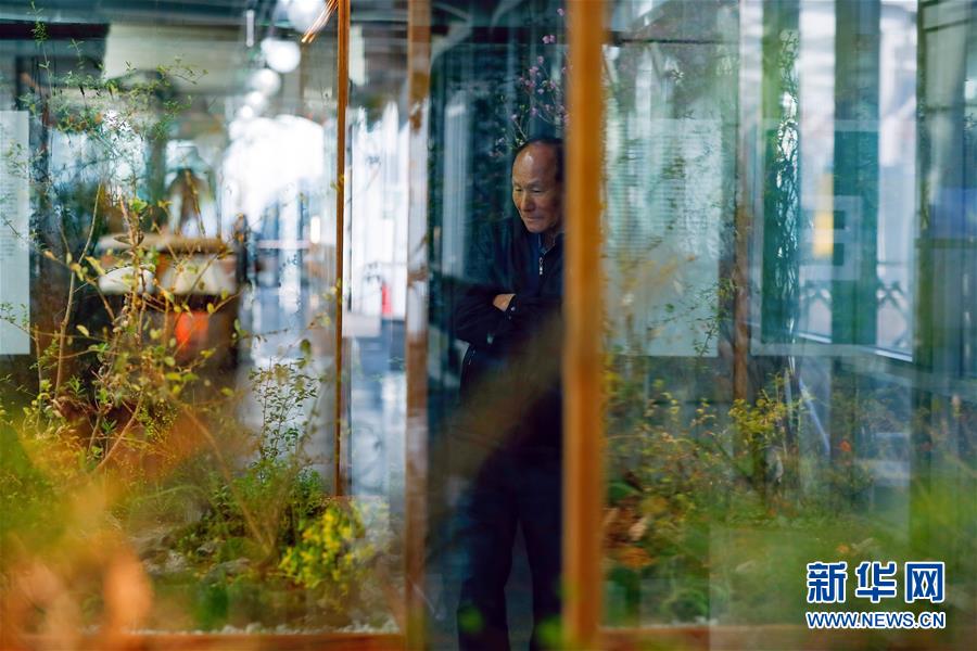 （國(guó)際&middot;圖文互動(dòng)）（4）通訊：敲響半島和平鐘聲&mdash;&mdash;走訪韓朝非軍事區(qū)首爾藝術(shù)展