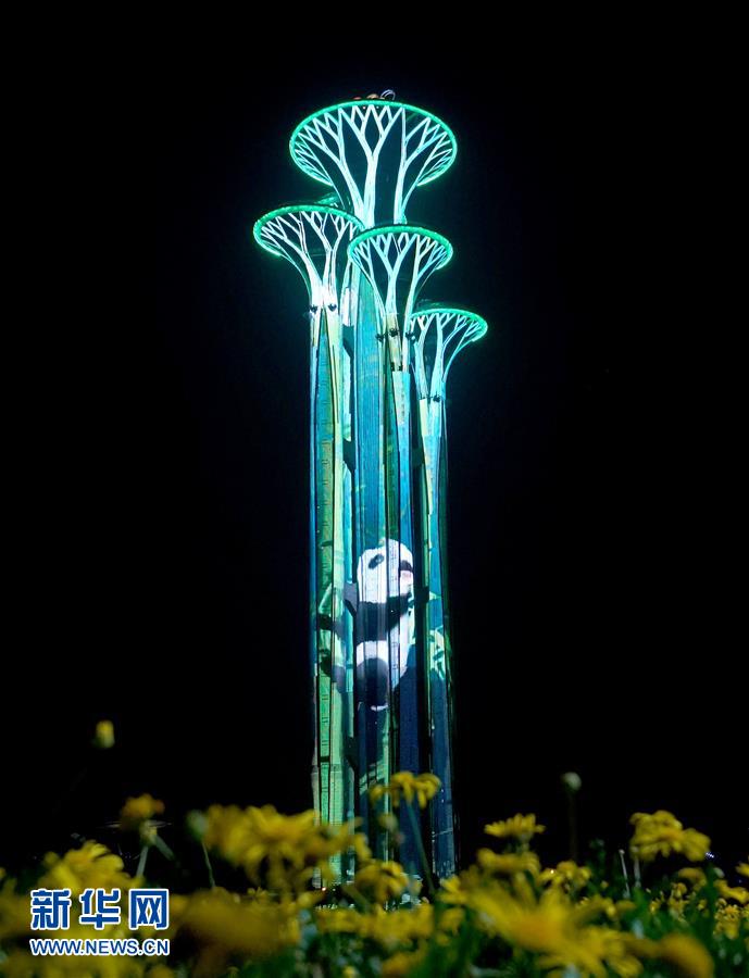 （亞洲文明對(duì)話大會(huì)）（11）&ldquo;空間光影秀&rdquo;迎盛會(huì)